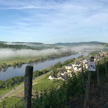 Wein- Und Gaestehaus Genetsch Lieser Zewnętrze zdjęcie
