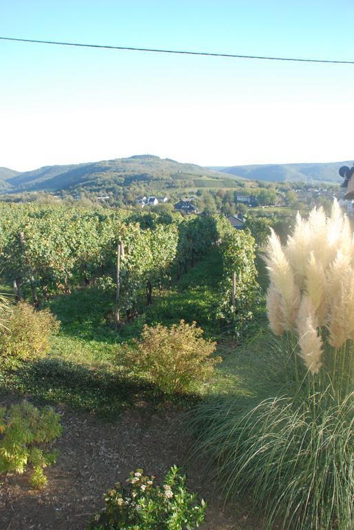 Wein- Und Gaestehaus Genetsch Lieser Zewnętrze zdjęcie