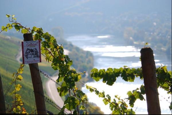 Wein- Und Gaestehaus Genetsch Lieser Zewnętrze zdjęcie