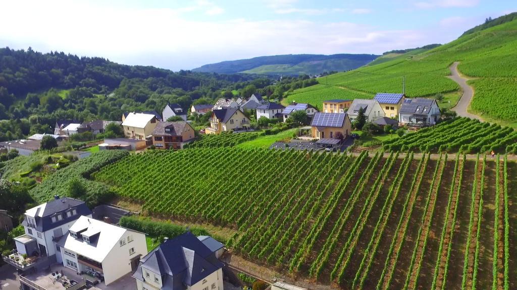Wein- Und Gaestehaus Genetsch Lieser Zewnętrze zdjęcie