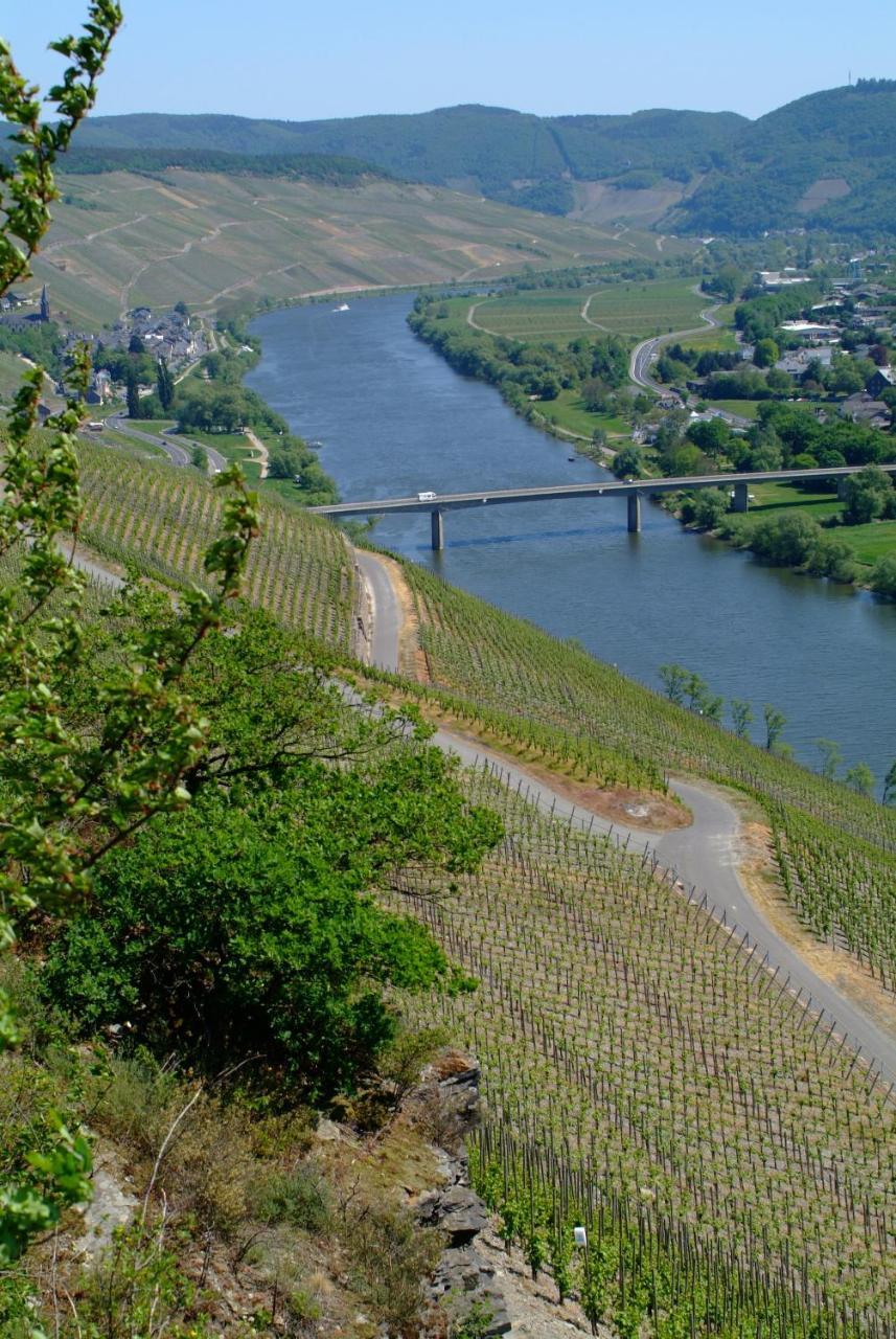 Wein- Und Gaestehaus Genetsch Lieser Zewnętrze zdjęcie