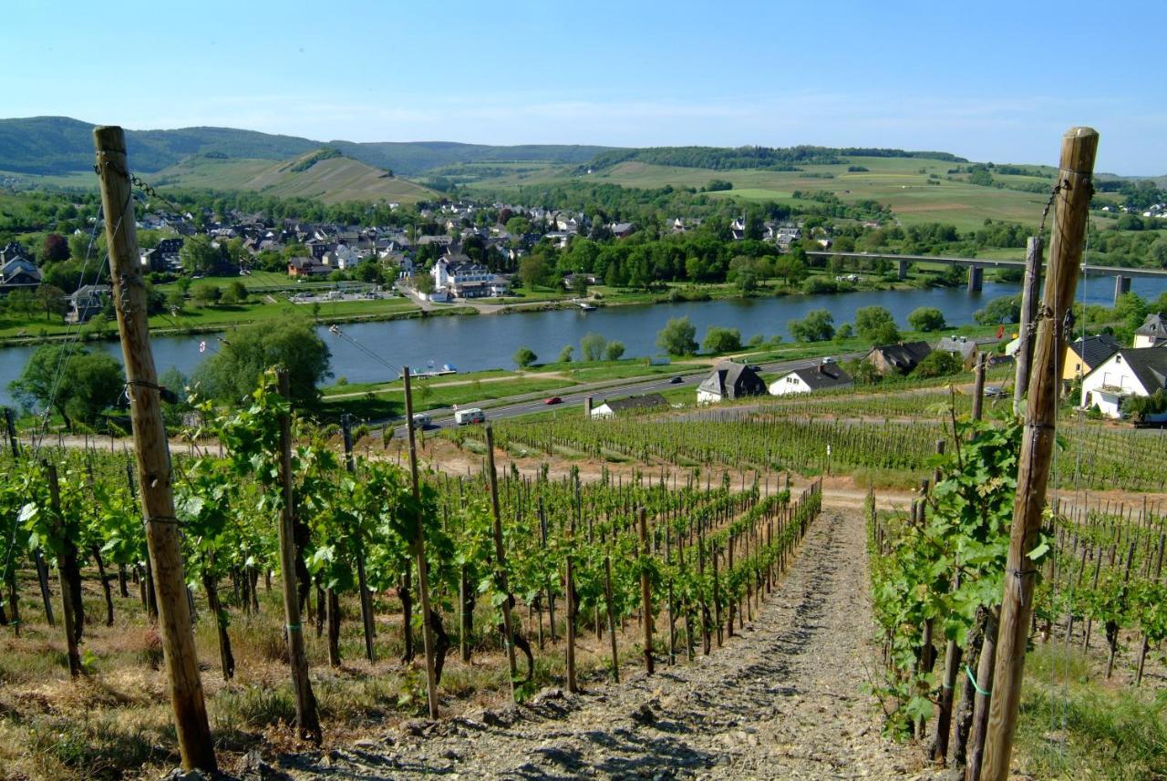 Wein- Und Gaestehaus Genetsch Lieser Zewnętrze zdjęcie