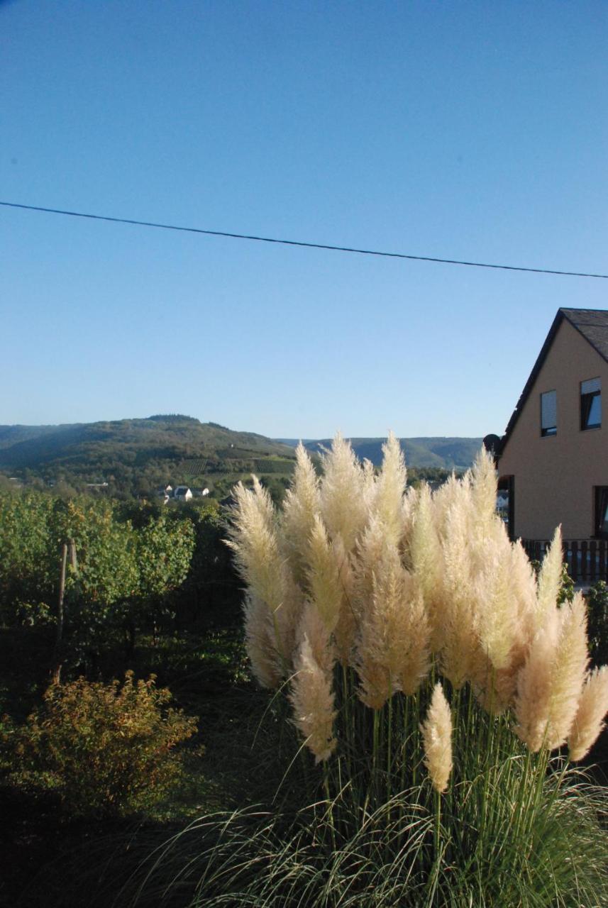 Wein- Und Gaestehaus Genetsch Lieser Zewnętrze zdjęcie