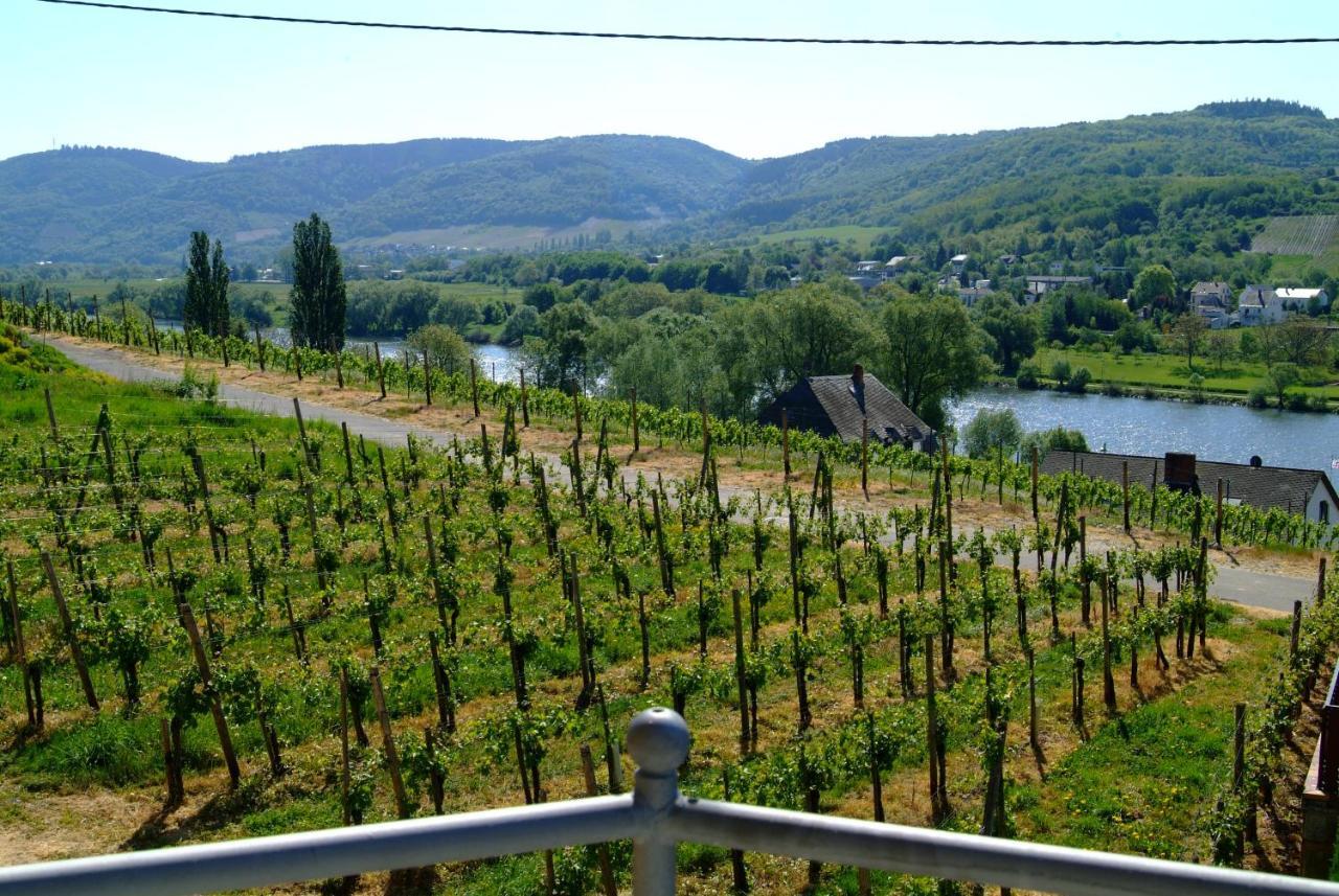 Wein- Und Gaestehaus Genetsch Lieser Zewnętrze zdjęcie