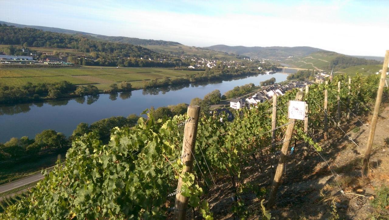 Wein- Und Gaestehaus Genetsch Lieser Zewnętrze zdjęcie