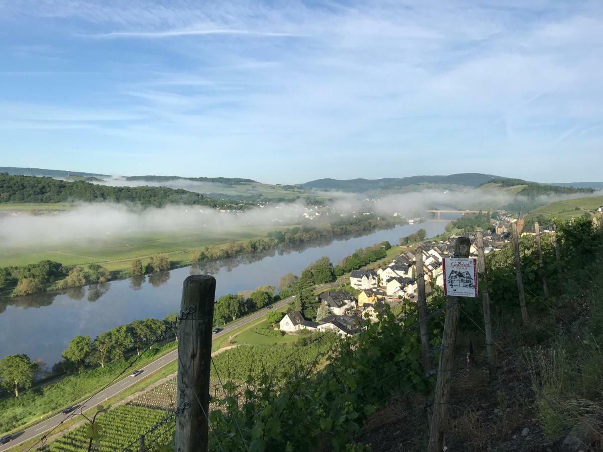 Wein- Und Gaestehaus Genetsch Lieser Zewnętrze zdjęcie